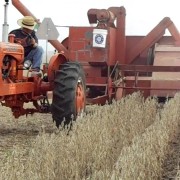 old school farming