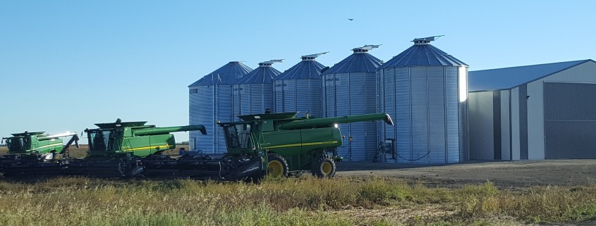 ready-for-harvest