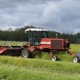 swathing-canola