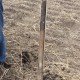 Soil Testing Home Farm