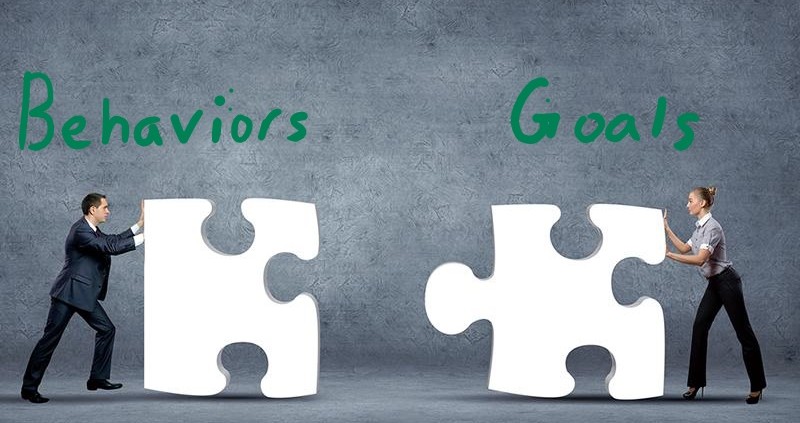 Goal Congruence_LI